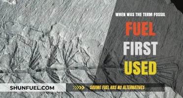 Tracing the Origins: When 'Fossil Fuel' First Entered Our Vocabulary