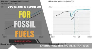 The Rising Demand for Fossil Fuels: A Historical Perspective