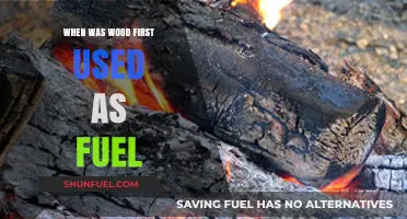 The Ancient Origins of Wood as a Fuel Source