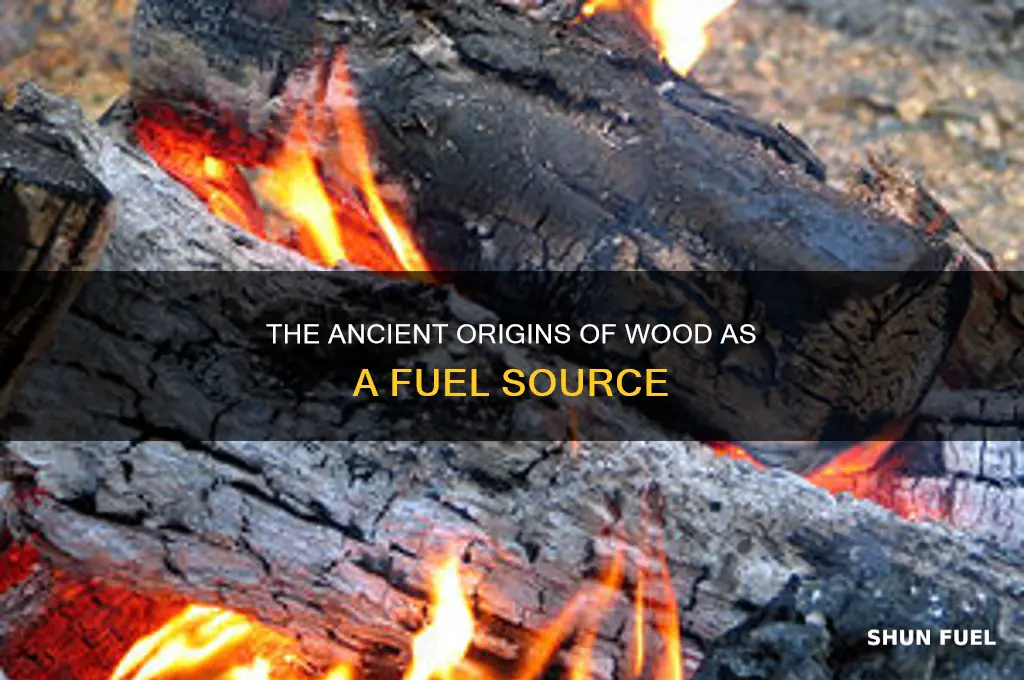 when was wood first used as fuel