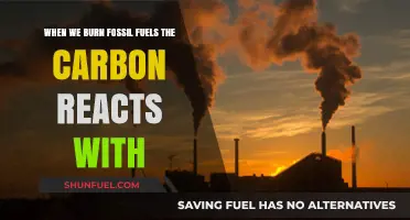 Burning Fossil Fuels: How Carbon Reacts with Oxygen to Impact Climate