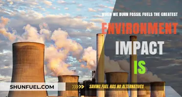 Burning Fossil Fuels: Unveiling the Devastating Environmental Consequences