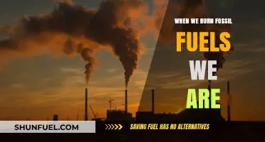 Burning Fossil Fuels: Unleashing Carbon, Climate Chaos, and Consequences