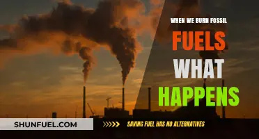 Burning Fossil Fuels: Unveiling the Environmental and Climatic Consequences