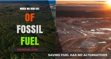 The Looming Energy Crisis: Life After Fossil Fuels Are Gone
