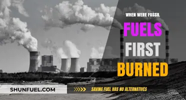 The Dawn of Fossil Fuels: When Humanity First Ignited the Flame