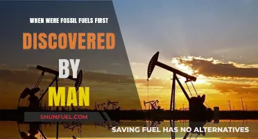 Unveiling the Origins: When Humanity First Discovered Fossil Fuels