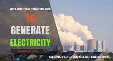 The Dawn of Fossil Fuels: Powering Electricity Generation