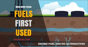 The First Use of Fossil Fuels: A Historical Perspective