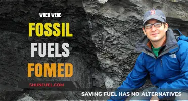 The Ancient Origins of Fossil Fuels: A Journey Through Time