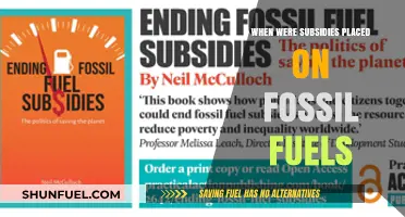 Tracing the Origins of Fossil Fuel Subsidies: A Historical Overview