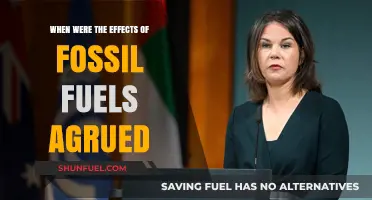 Debating Fossil Fuels: When Did Their Impact Spark Global Arguments?