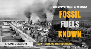 Unveiling the Timeline: When Fossil Fuel Burning Concerns Emerged