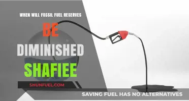 Shafiee's Insight: When Will Fossil Fuel Reserves Be Depleted?