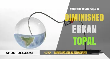 Erkan Topal's Insight: The Countdown to Fossil Fuel Depletion