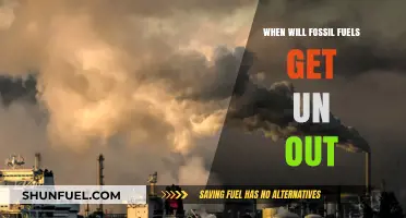 The Inevitable Decline: When Will Fossil Fuels Phase Out?