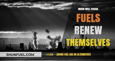 Fossil Fuels Renewal: A Myth or Future Possibility?