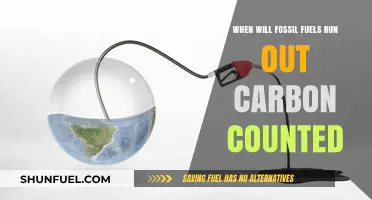When Will Fossil Fuels Run Out? Carbon Counted
