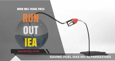 IEA Predictions: When Will Fossil Fuels Be Depleted?
