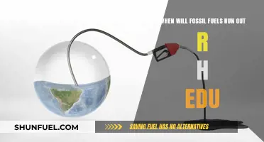 When Will Fossil Fuels Deplete? A Comprehensive R.H. Edu Analysis