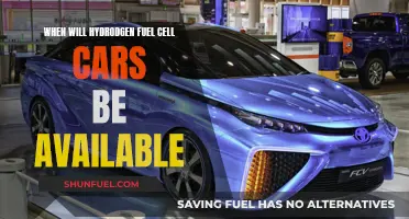 Hydrogen Fuel Cell Cars: When Can We Expect Them?
