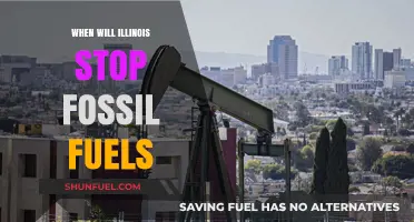 Illinois' Transition: When Will Fossil Fuels Be Phased Out?