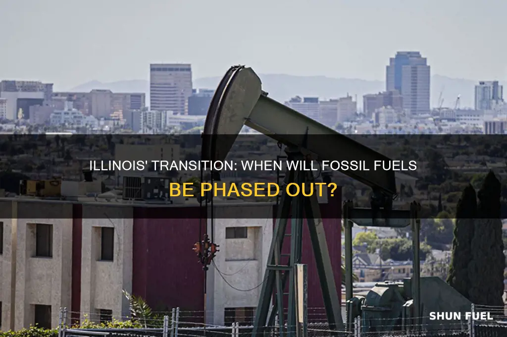 when will illinois stop fossil fuels