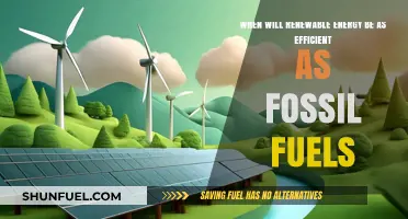 Renewable Energy Efficiency: Closing the Gap with Fossil Fuels