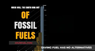 The World Without Fossil Fuels: An Inevitable Future