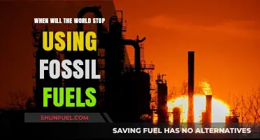Ending Fossil Fuel Dependence: A Timeline for Global Energy Transition