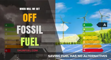Transitioning Beyond Fossil Fuels: Timelines, Challenges, and Sustainable Alternatives
