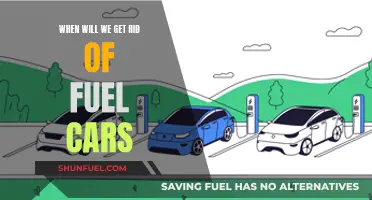 The End of Fuel Cars: A Green Revolution