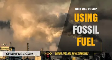 Ending Fossil Fuel Dependence: A Timeline for a Sustainable Future