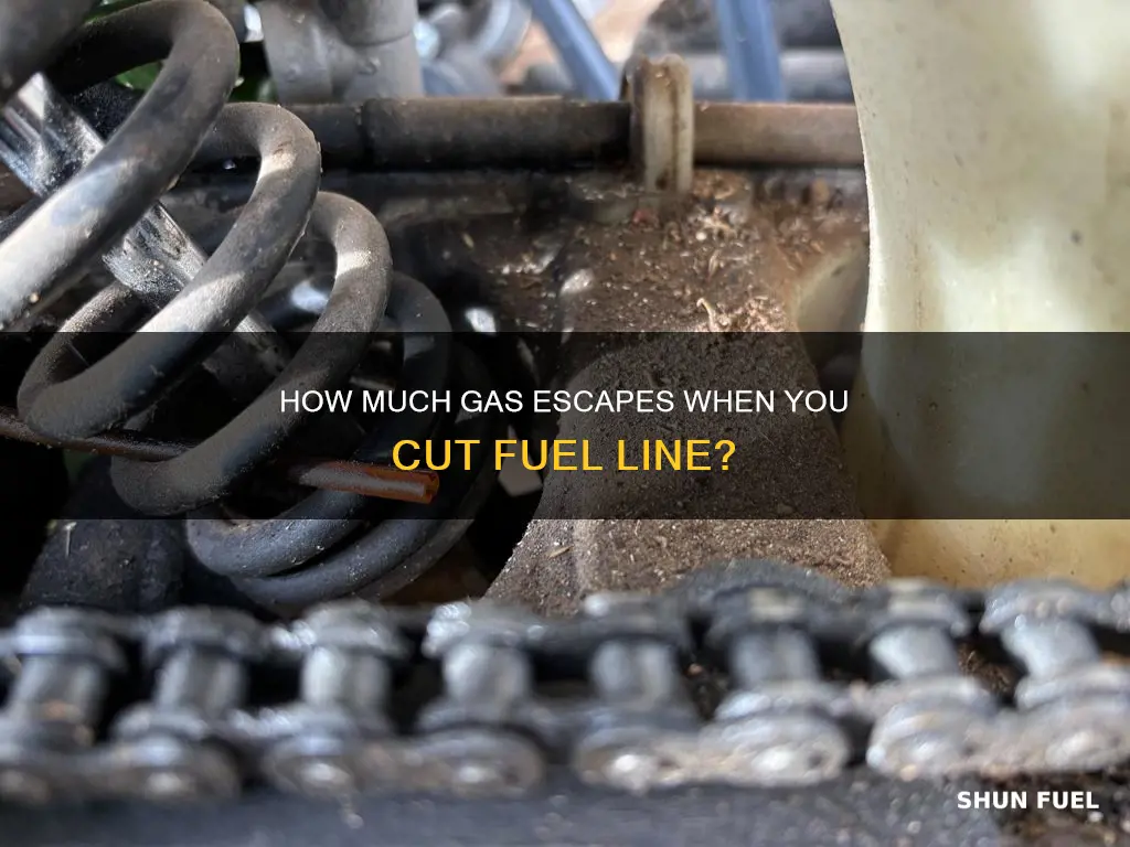 when you cut fuel line how much gas comes out