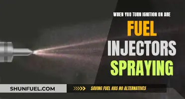 Fuel Injectors: Are They Spraying When You Turn the Ignition?