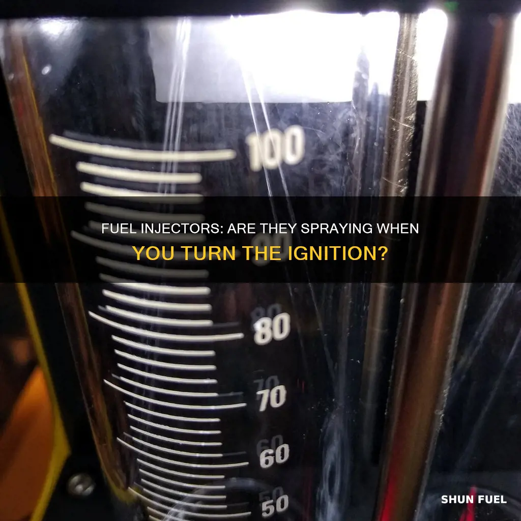 when you turn ignition on are fuel injectors spraying