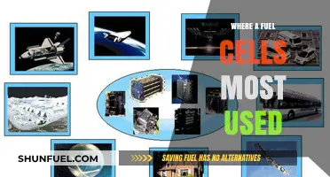 Where Fuel Cells Thrive: Top Applications and Industries Leading Adoption