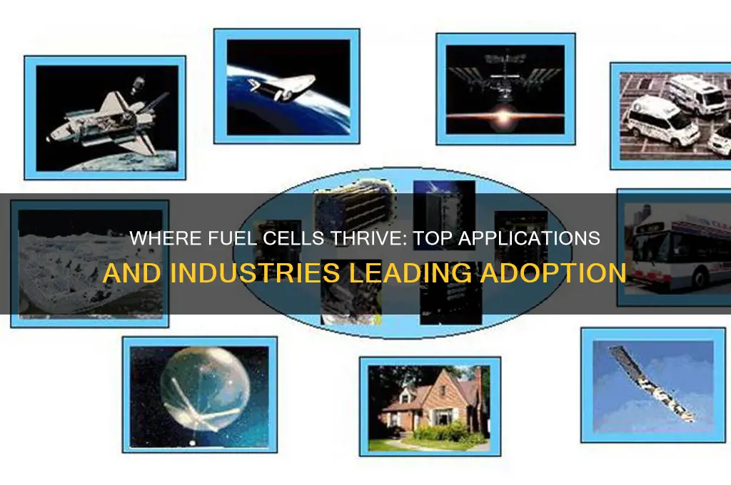 where a fuel cells most used
