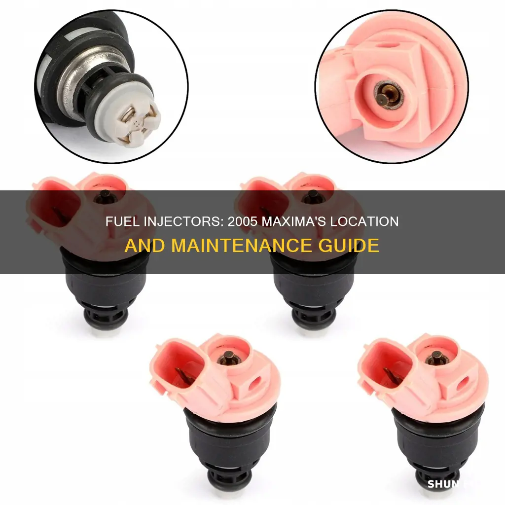 where are 2005 maxima fuel injectors