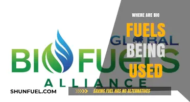 Exploring Global Applications: Where Biofuels Are Powering Industries Today