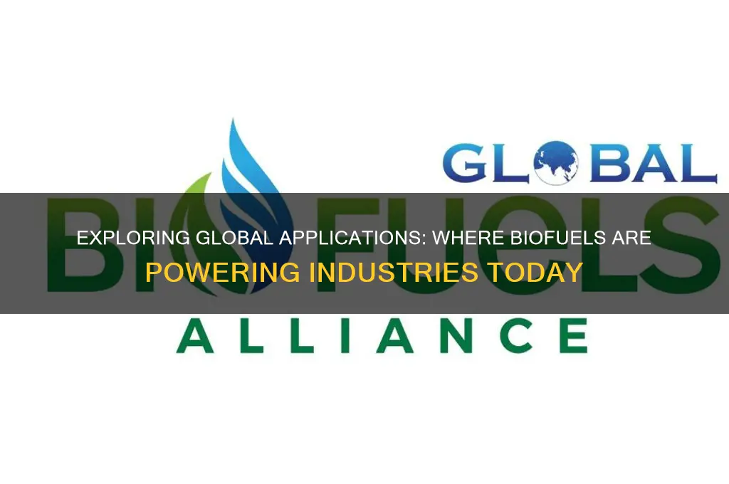 where are bio fuels being used