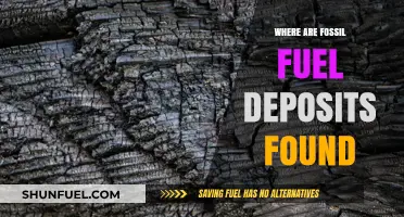 Exploring the Global Locations of Fossil Fuel Deposits