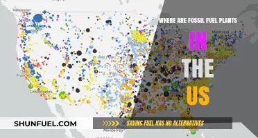 Mapping America's Fossil Fuel Plants: Locations and Environmental Impact