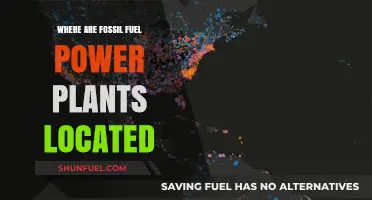 Global Distribution: Mapping Fossil Fuel Power Plants Worldwide