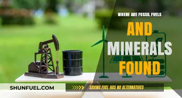 Exploring Earth's Treasures: Locating Fossil Fuels and Mineral Deposits