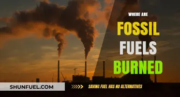 Where Fossil Fuels Burn: Power Plants, Vehicles, and Industries Explained