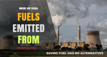 Sources of Fossil Fuel Emissions: Uncovering the Origins and Impact