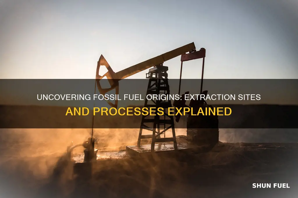 where are fossil fuel