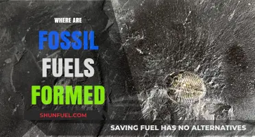 Where Fossil Fuels Are Formed: Uncovering Earth's Ancient Energy Secrets