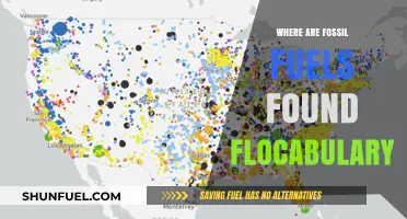 Discovering Fossil Fuel Locations: A Flocabulary Exploration Guide